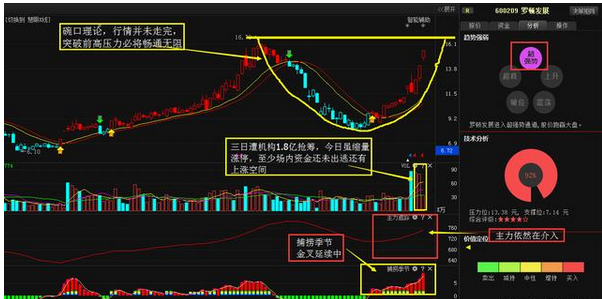 罗顿发展创新突破，迈向新里程碑